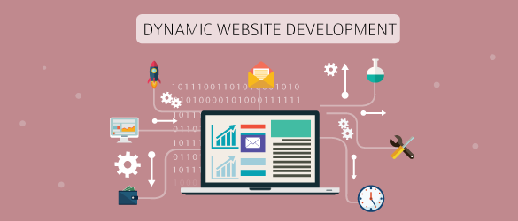 Dynamic Website Development